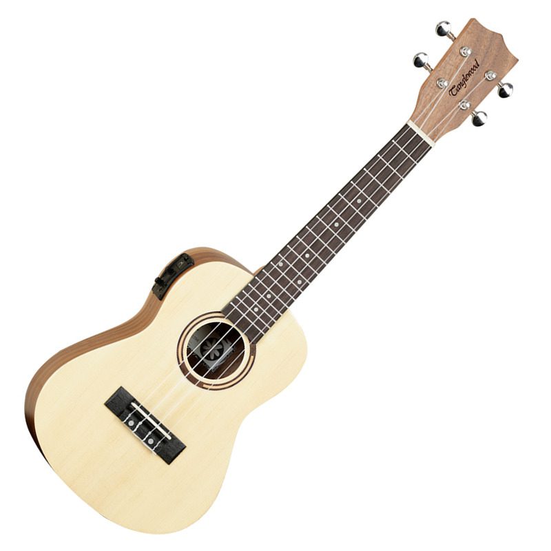 Tanglewood TW9E Front