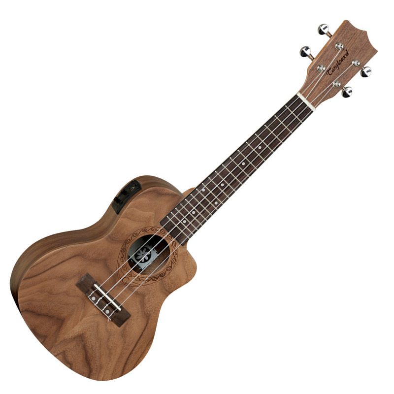 Tanglewood TWT13E Front