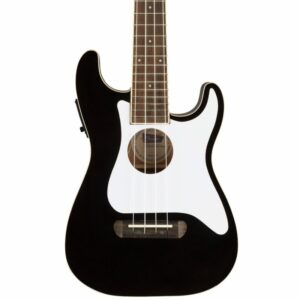 Fender Fullerton Strat Black and White Guitar Anatomy - Body