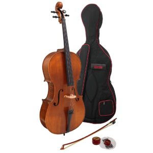 Hidersine Vivente 4/4 Cello Outfit showing cello, bag, bow and rosin