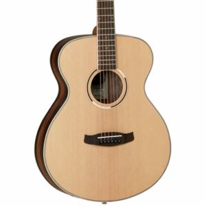 Vertical image of the body of 6-string Tanglewood DBT F EB E Electro Acoustic Guitar