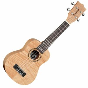 Tanglewood TWT5 4-string ukulele