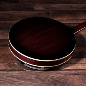 Rear of Barnes & Mullins bj300 5-String Banjo