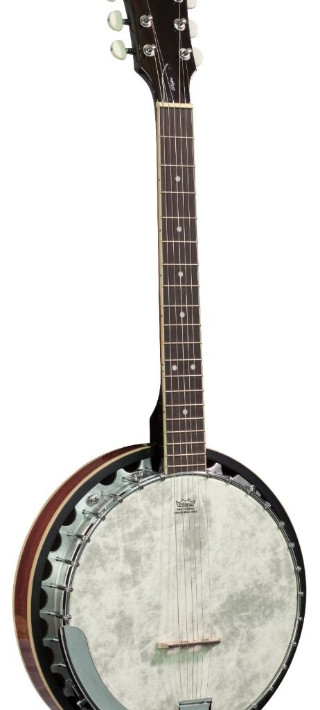 Barnes and Mullins Perfect 6 String Banjo with white body
