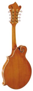 Back of Barnes and Mullins Piercy F-Style Mandolin