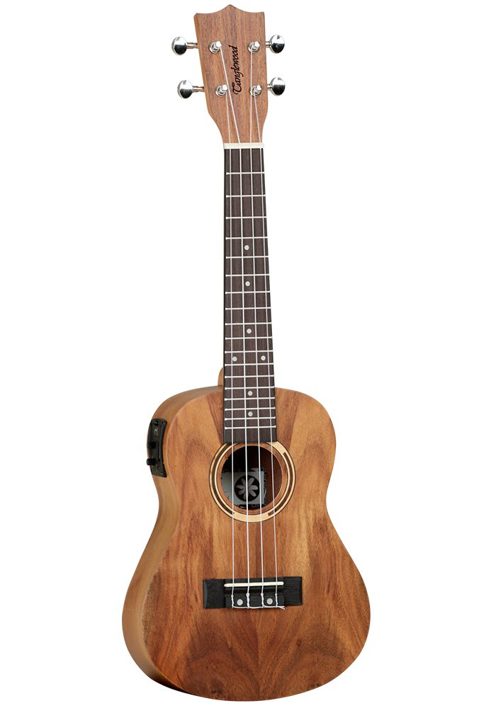 Tanglewood TIARE TWT 8 E Electro Acoustic Concert Ukulele in vertical pose