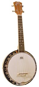 Barnes & Mullins Banjo Ukulele. Also known as the banjolele or banjo uke, it is a four-stringed musical instrument with a small banjo-type body and a fretted ukulele neck.