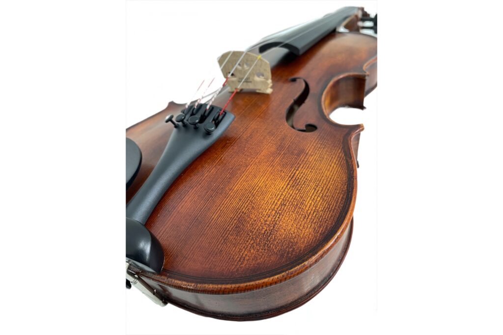 Stentor Verona Violin Outfit 1864A close-up of strings