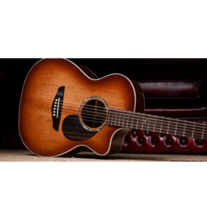 Faith Electro Acoustic