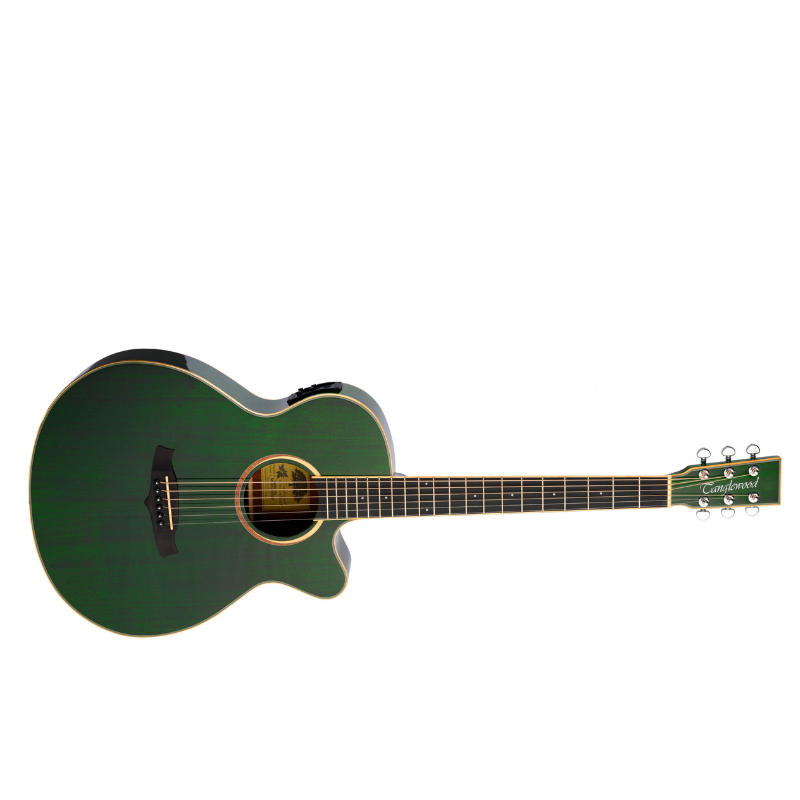 Tanglewood Winterleaf Tanglewood Electro Acoustic Folk Guitar