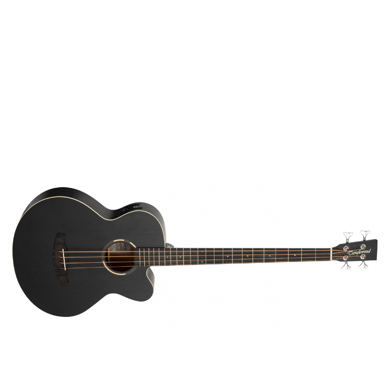 Tanglewood Blackbird acoustic bass guitar Tanglewood Acoustic Bass Guitar