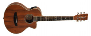 Tanglewood Reunion Pro TRU2CEAW Electro Acoustic Guitar plus Bag